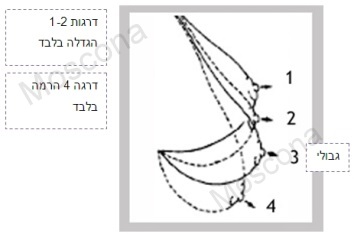 breast implants graph